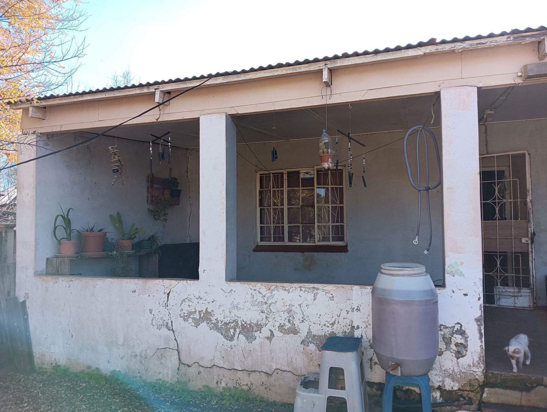 House for sale in Brandfort - 1BX1706256