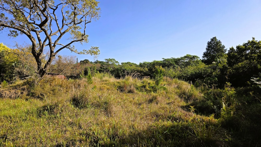 Residential vacant land for sale in Palm Beach - 1PD1712076 Residential vacant land for sale in Palm Beach - 1PD1712076