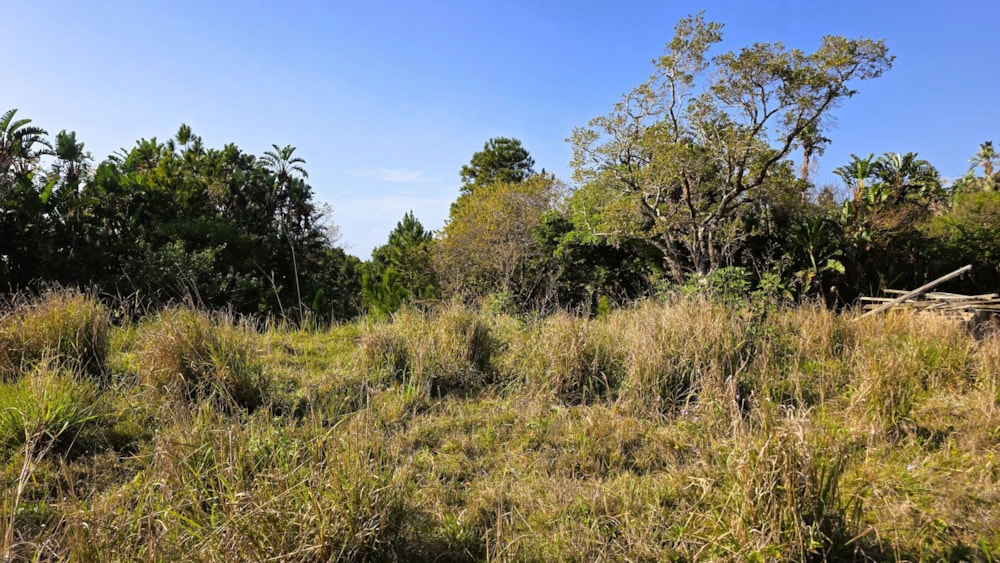 Residential vacant land for sale in Palm Beach - 1PD1712076 Residential vacant land for sale in Palm Beach - 1PD1712076