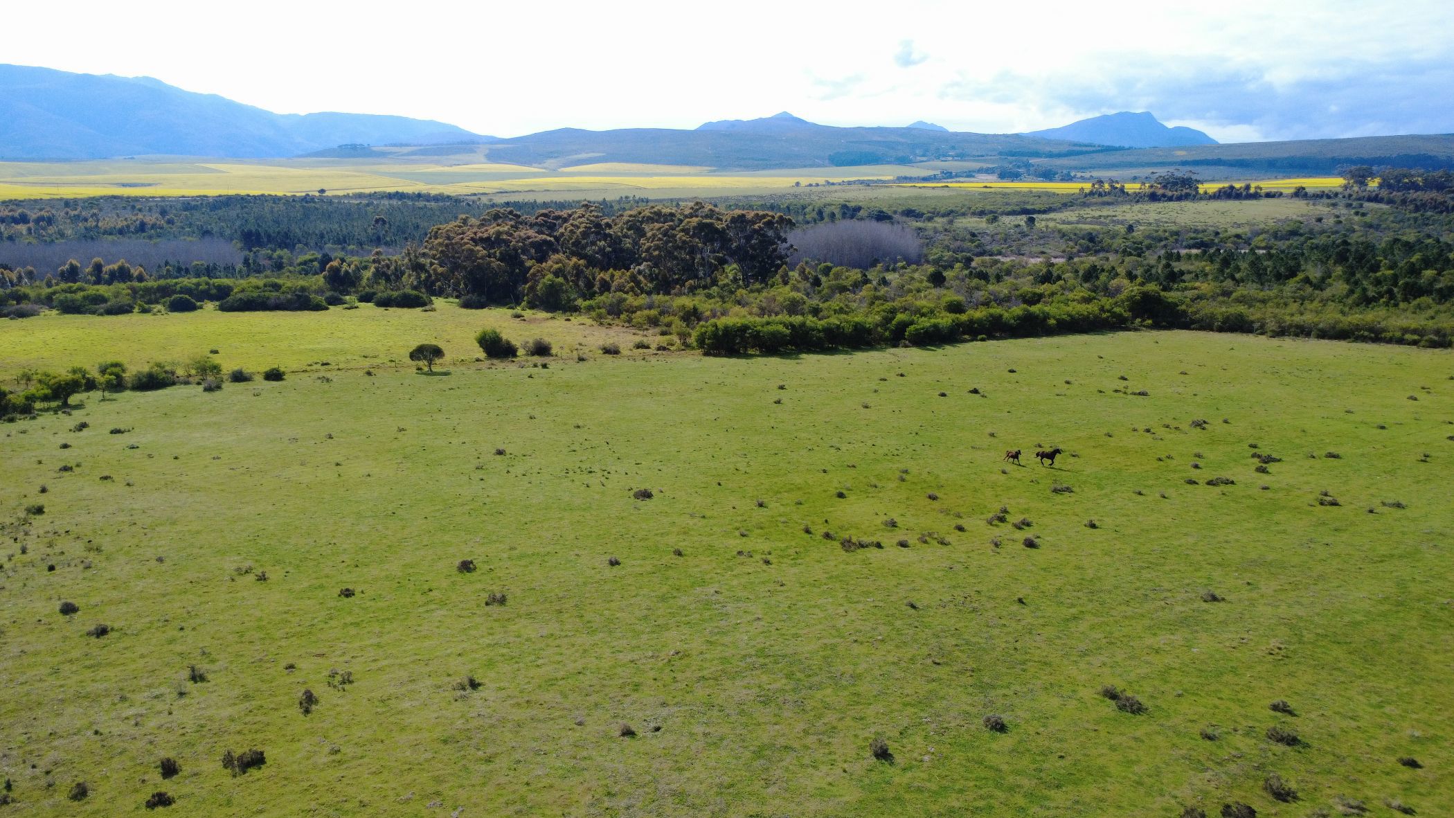 Mixed use farm for sale in Caledon - 1SW1684723