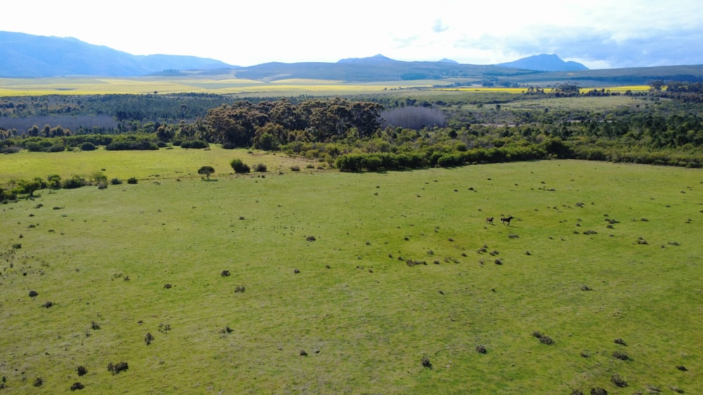 Mixed use farm for sale in Caledon - 1SW1684723 Mixed use farm for sale in Caledon - 1SW1684723