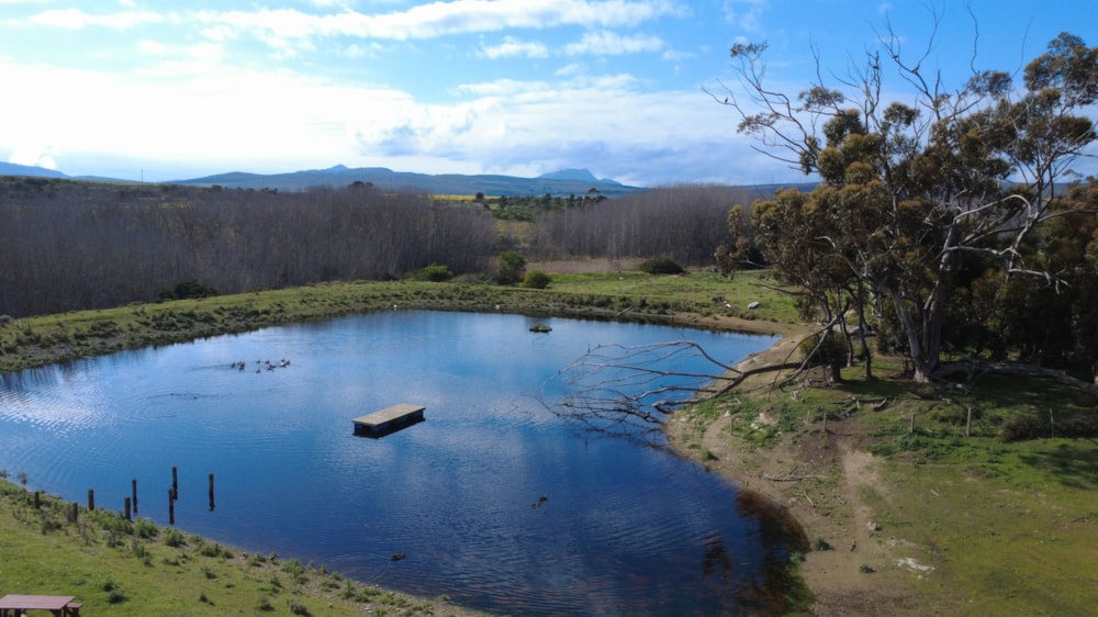 Mixed use farm for sale in Caledon - 1SW1684723 Mixed use farm for sale in Caledon - 1SW1684723