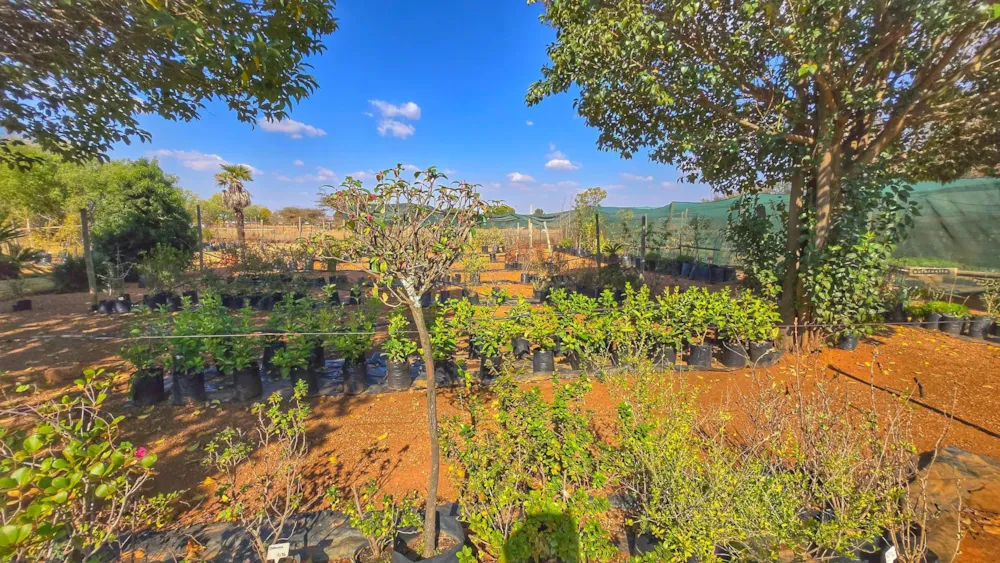 Mixed use farm for sale in Grootfontein - PT1710935