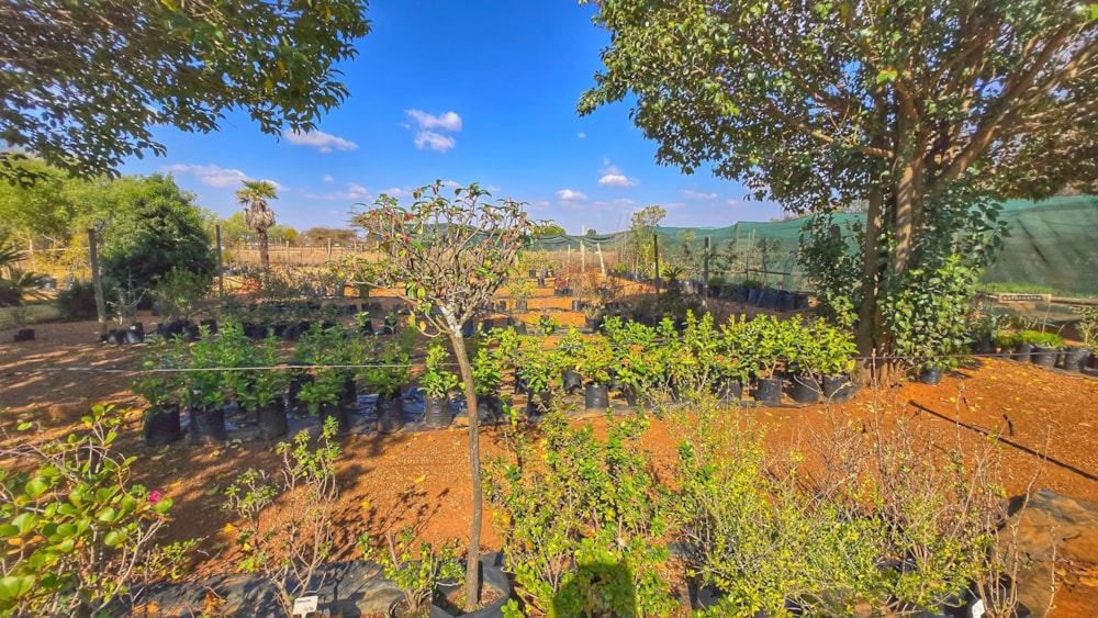 Mixed use farm for sale in Grootfontein - PT1710935