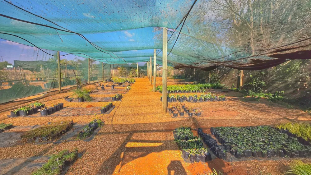 Mixed use farm for sale in Grootfontein - PT1710935