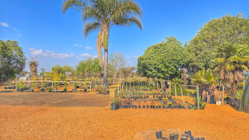 Mixed use farm for sale in Grootfontein - PT1710935