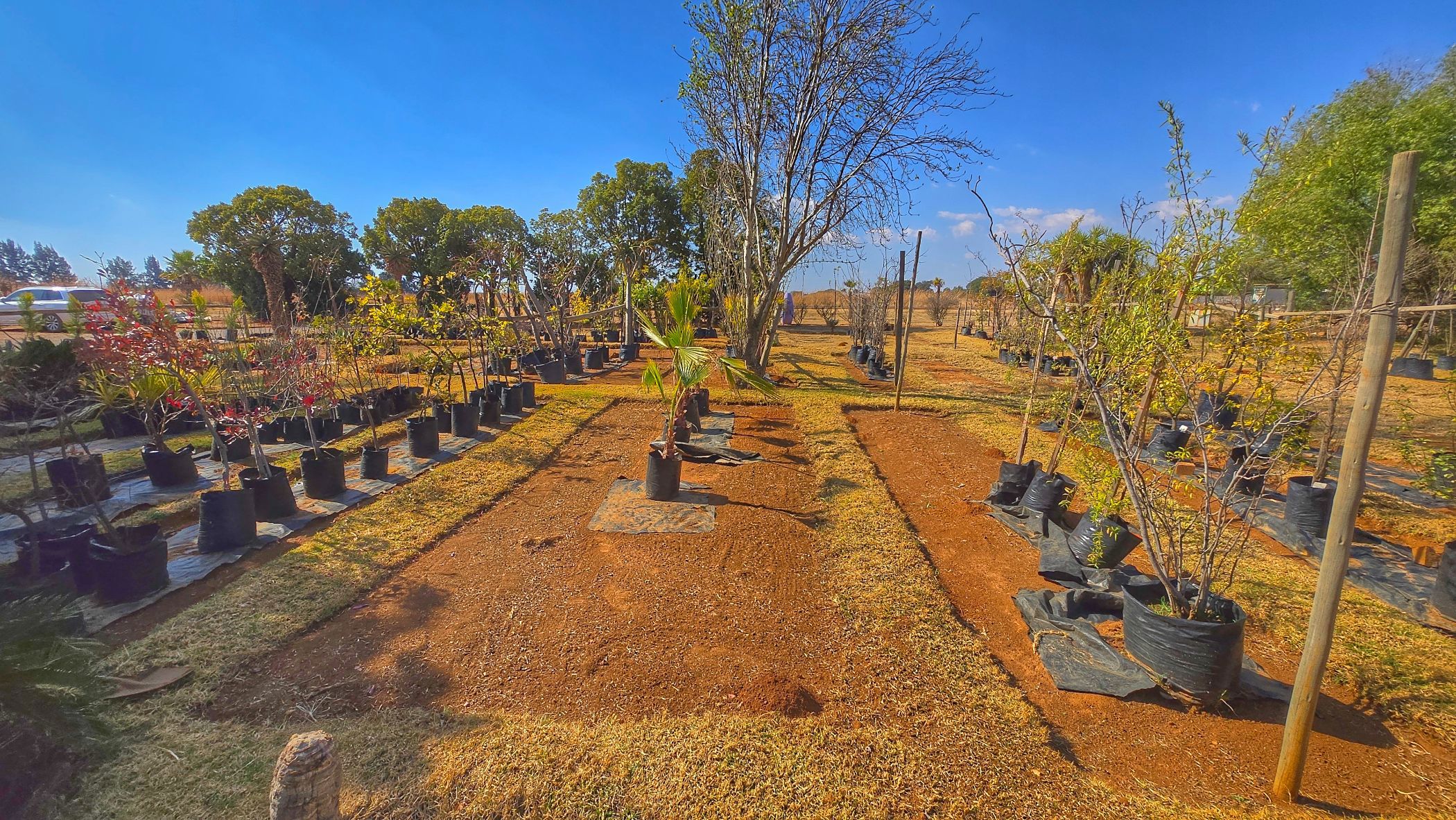 Mixed use farm for sale in Grootfontein - PT1710935