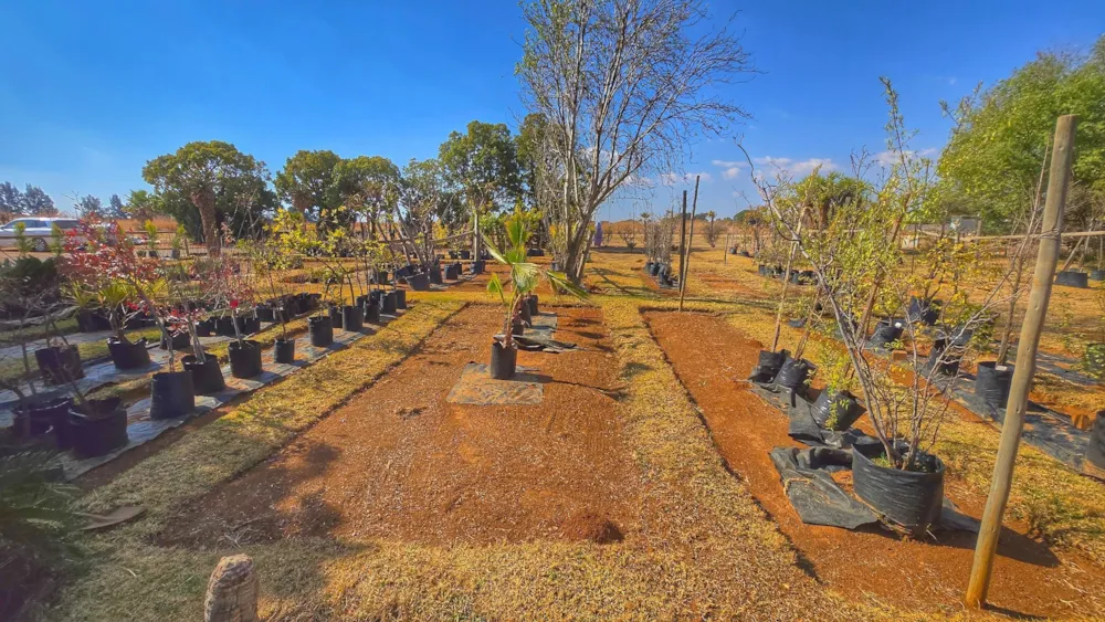 Mixed use farm for sale in Grootfontein - PT1710935