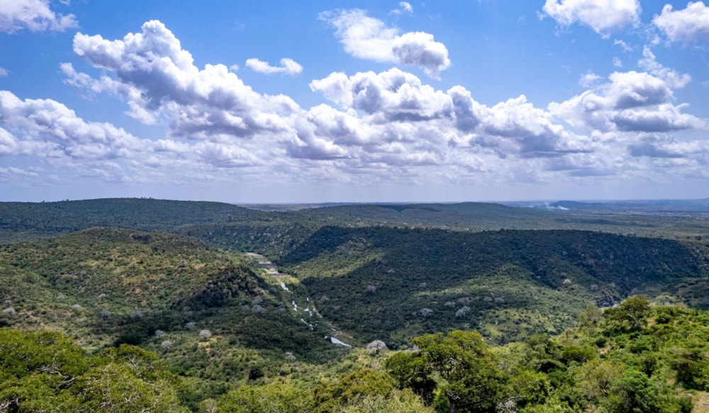 Residential vacant land for sale in Shimba Hills, Kenya - 3KE1706999 Residential vacant land for sale in Shimba Hills, Kenya - 3KE1706999