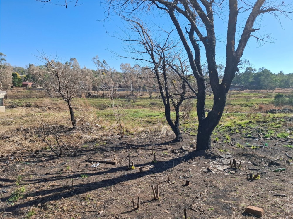 Residential vacant land for sale in Pioneer Park - 1NW1709597