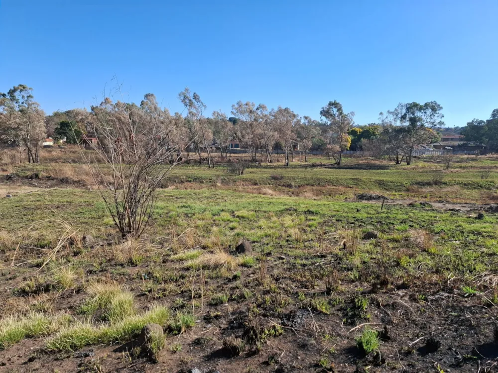Residential vacant land sold in Pioneer Park - 1NW1709597 Residential vacant land sold in Pioneer Park - 1NW1709597