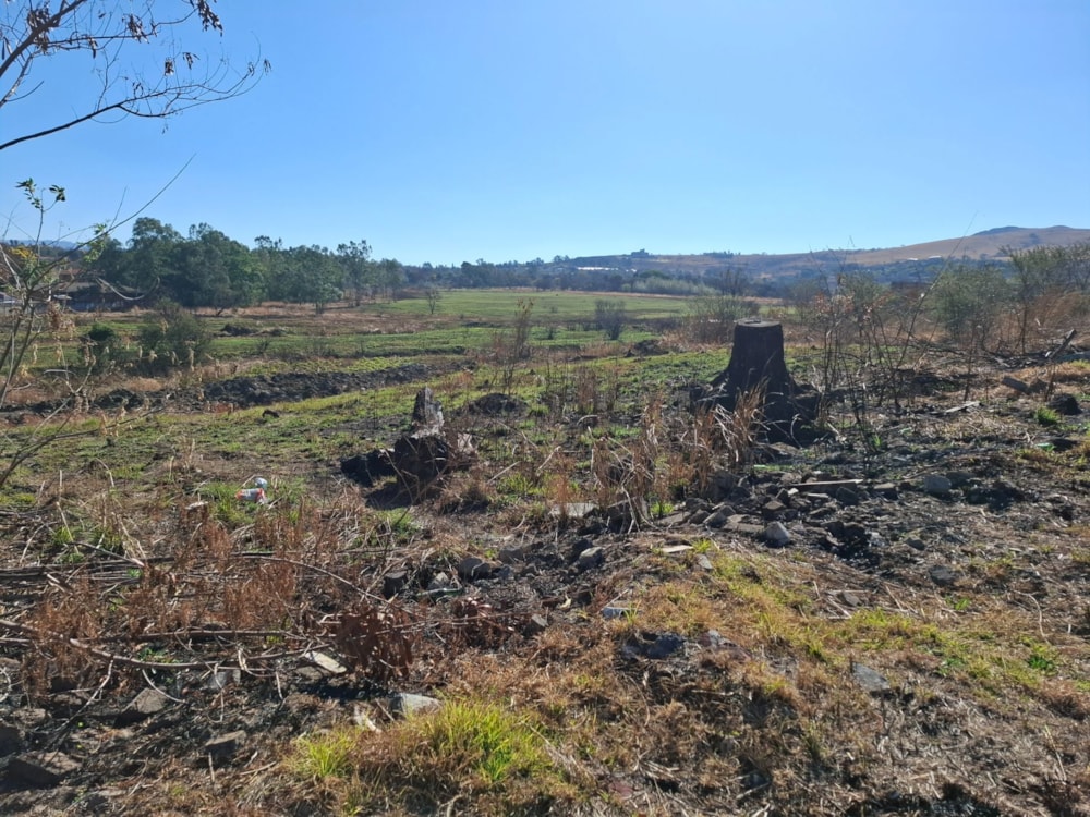 Residential vacant land for sale in Pioneer Park - 1NW1709593