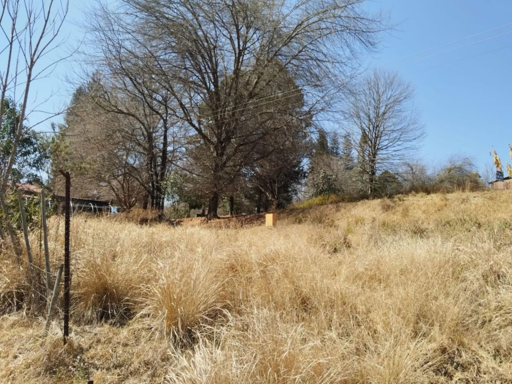 Vacant land for sale in Haenertsburg - 1PS1711773