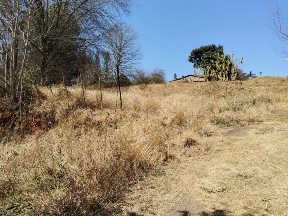 Vacant land for sale in Haenertsburg - 1PS1711773