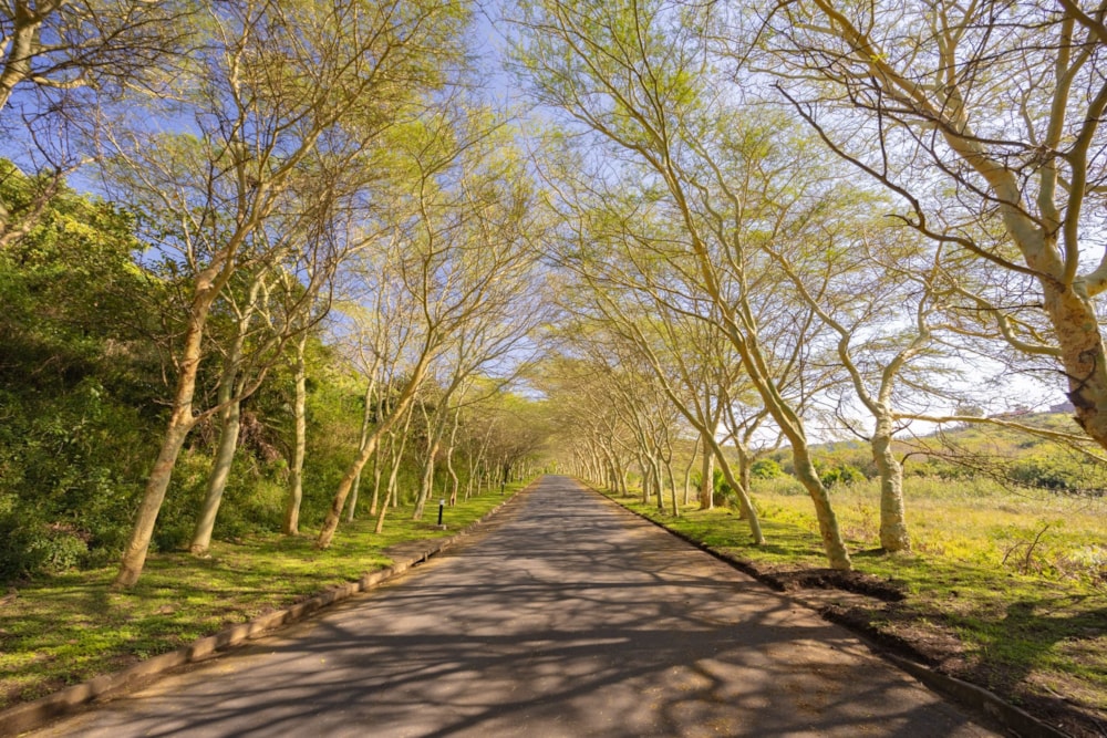 Vacant land for sale in Shelly Beach - 1PSH1706964