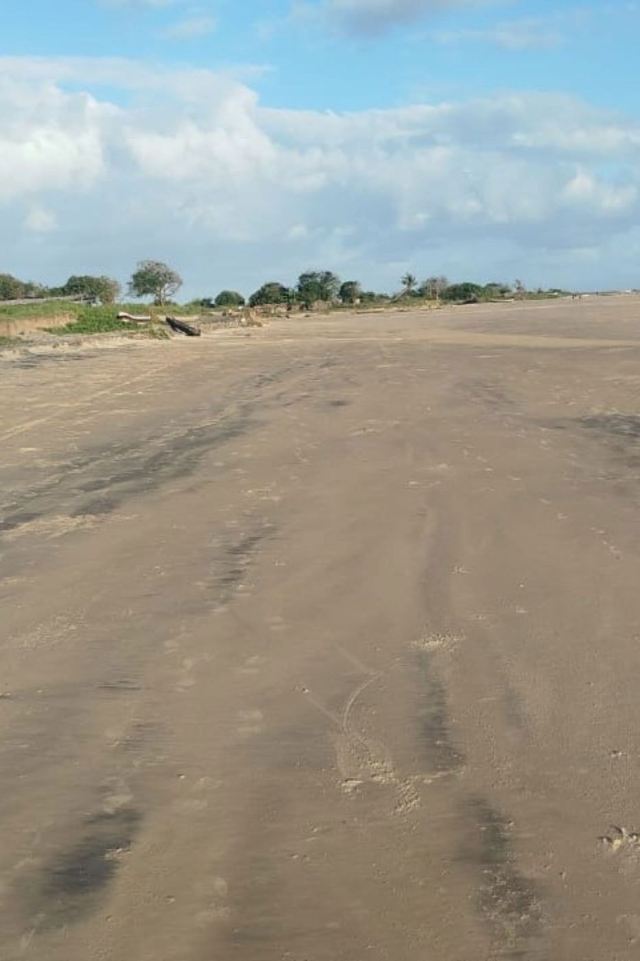 Farm vacant land for investment in Zambézia, Zambézia, Mozambique - 3MQ1706608 Farm vacant land for investment in Zambézia, Zambézia, Mozambique - 3MQ1706608