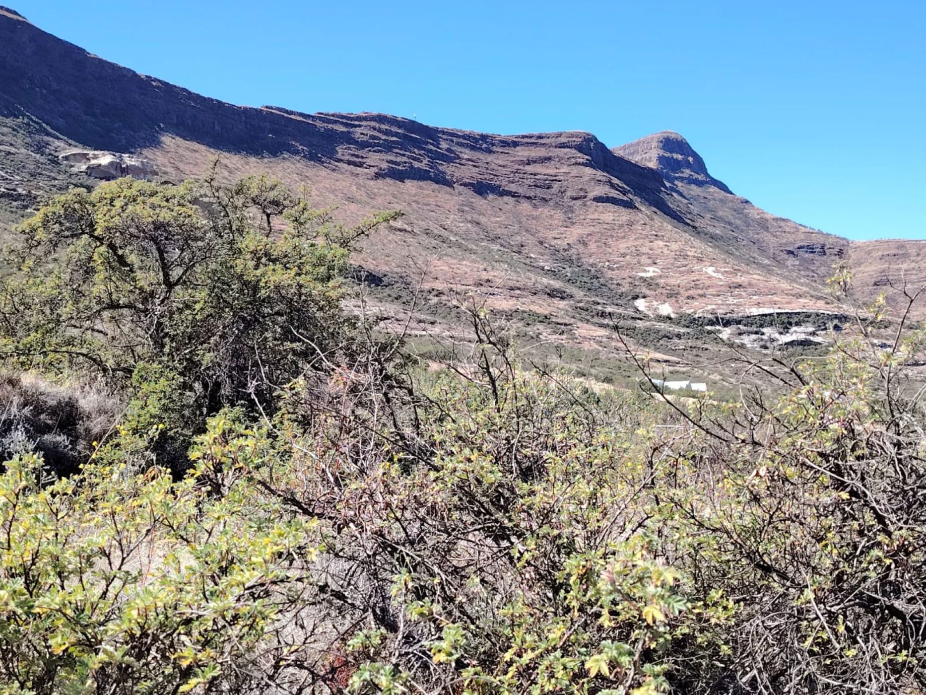 Vacant land for sale in Clarens - 1CS1708989