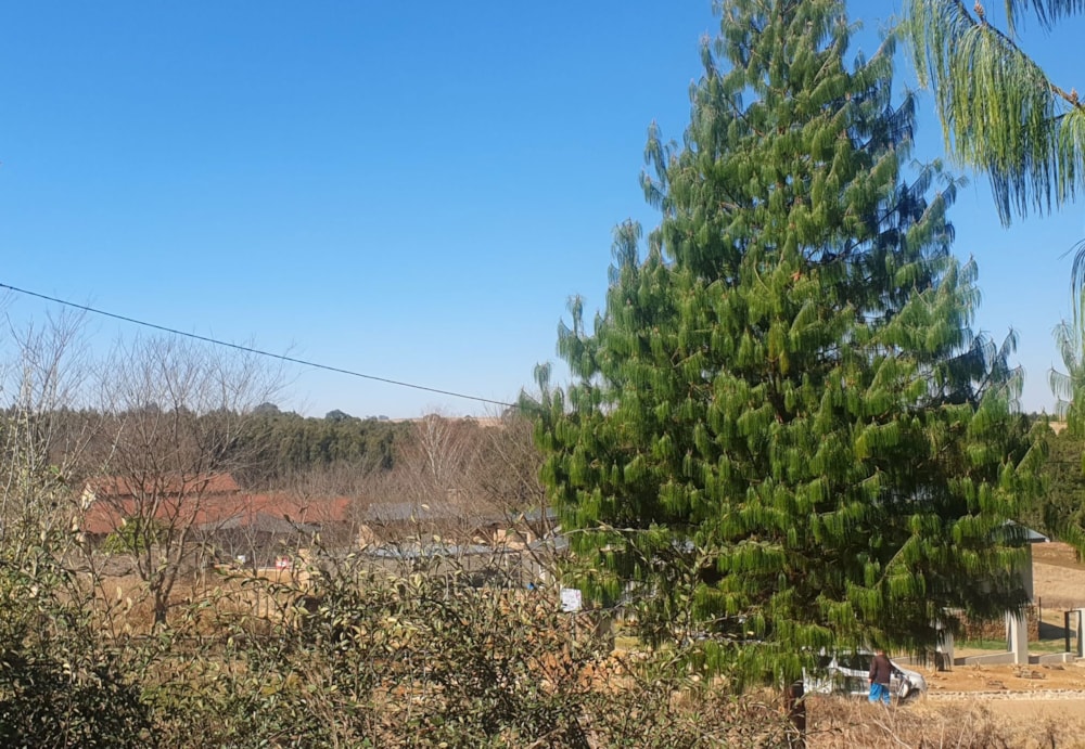 Vacant land for sale in Dullstroom - 1DS1712143 Vacant land for sale in Dullstroom - 1DS1712143