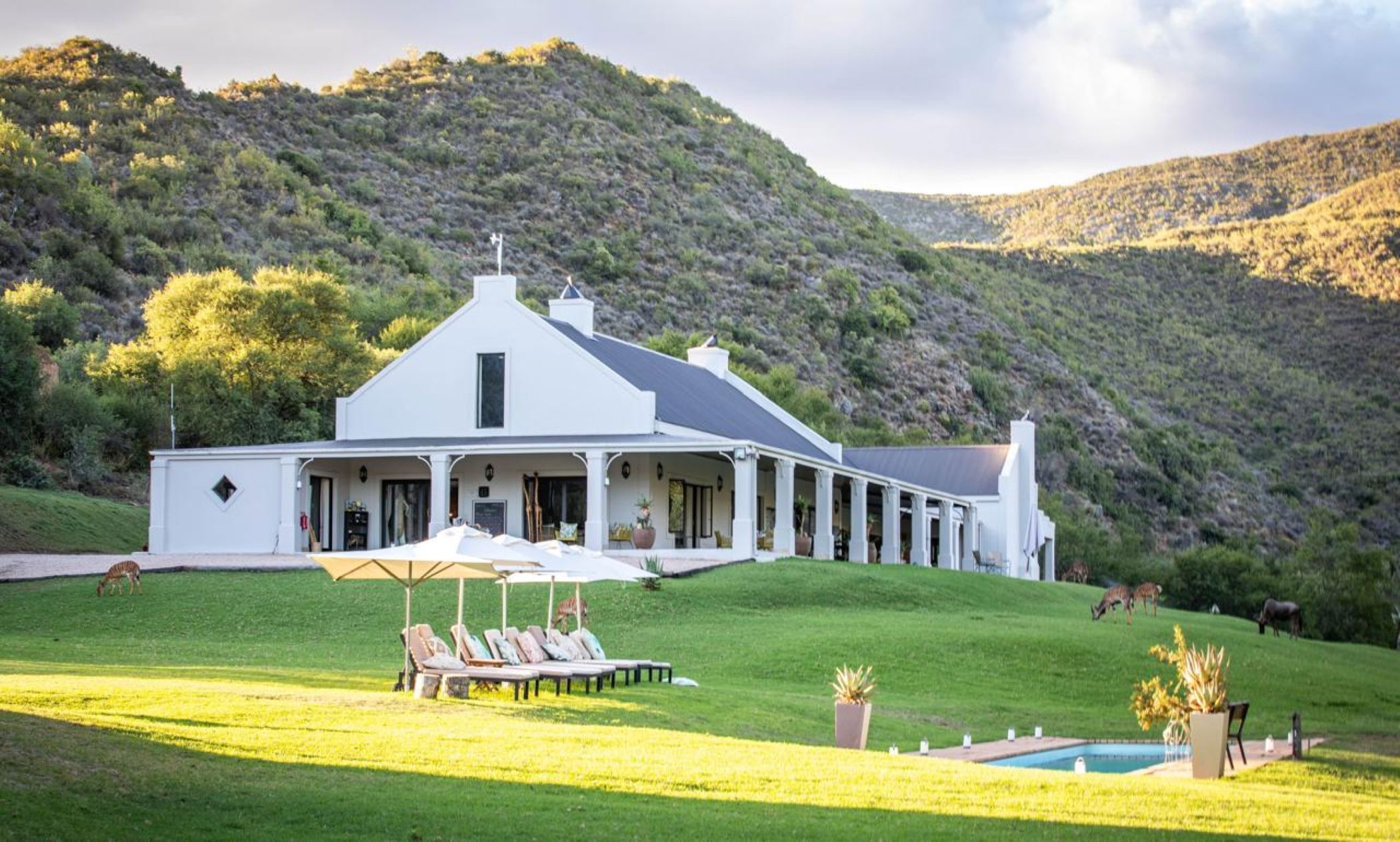 Game farm for sale in Oudtshoorn - 1OU1709199