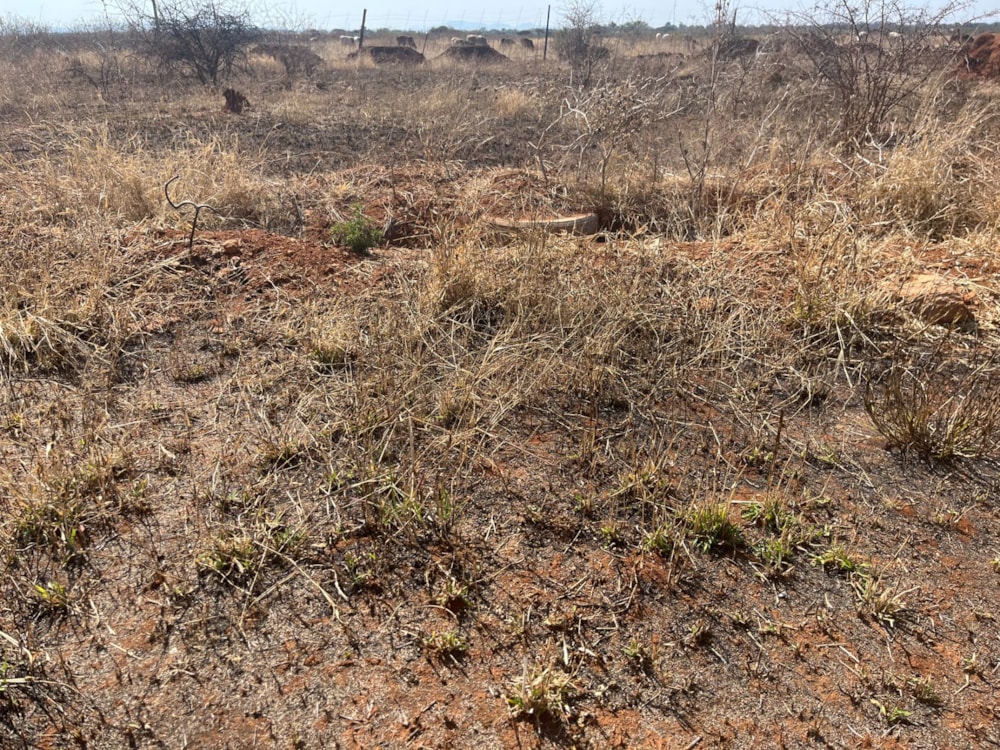 Commercial vacant land for sale in Magna Via - 1PS1710004