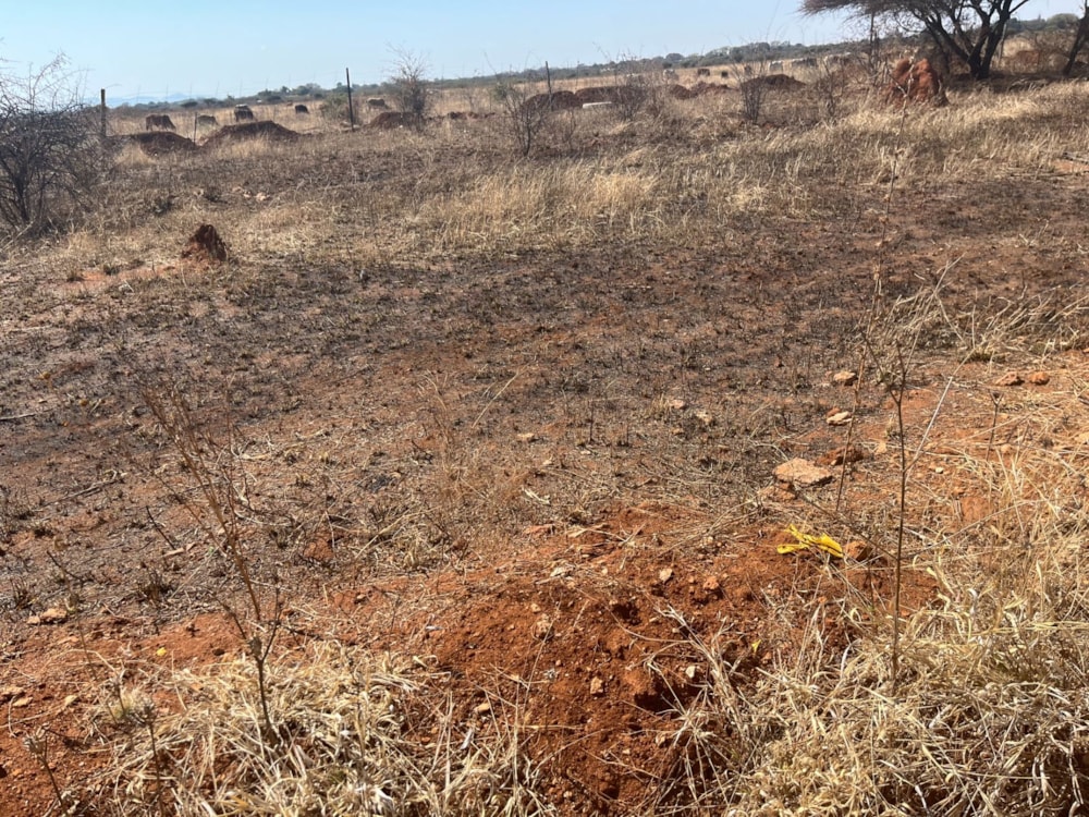 Commercial vacant land for sale in Magna Via - 1PS1710004