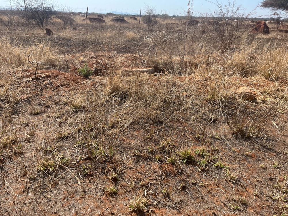 Commercial vacant land for sale in Magna Via - 1PS1710021