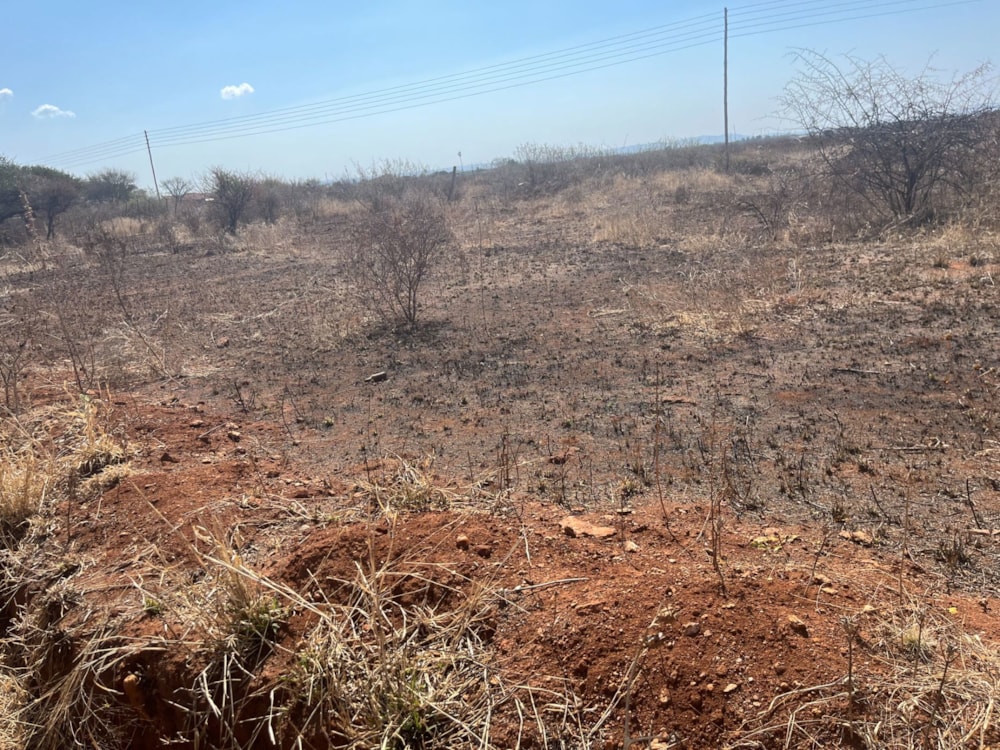 Commercial vacant land for sale in Magna Via - 1PS1710021