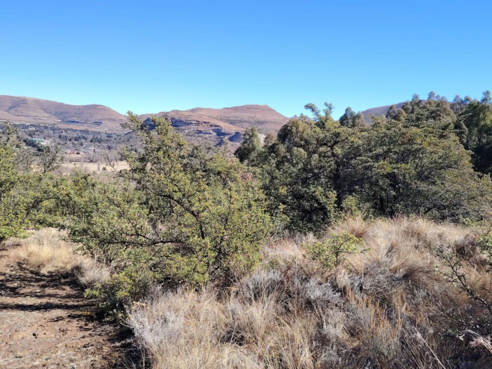 Vacant land for sale in Clarens - 1CS1709739 Vacant land for sale in Clarens - 1CS1709739