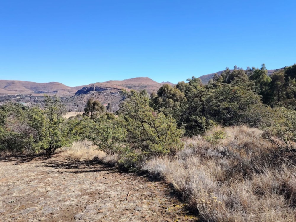 Vacant land for sale in Clarens - 1CS1709739 Vacant land for sale in Clarens - 1CS1709739