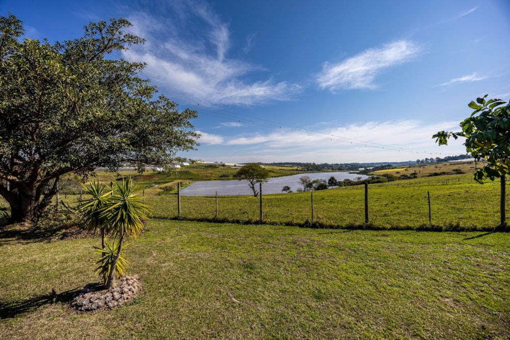 Livestock farm for sale in Kwelera - 1EZ1709743 Livestock farm for sale in Kwelera - 1EZ1709743