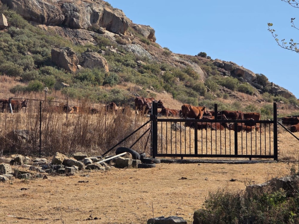 Mixed use farm for sale in Paul Roux - 1BTH1709785