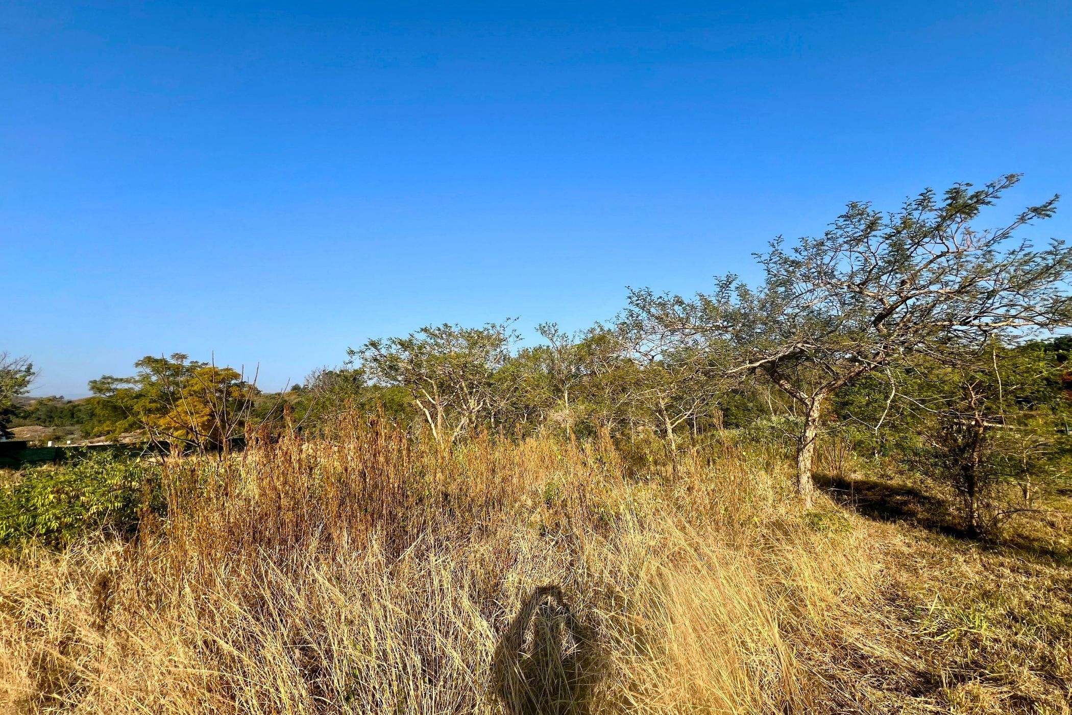 Residential vacant land for sale in Elawini Lifestyle Estate - 1NS1709968