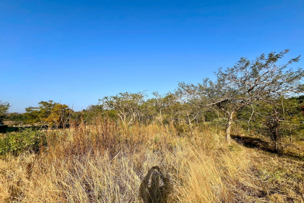 Residential vacant land for sale in Elawini Lifestyle Estate - 1NS1709968