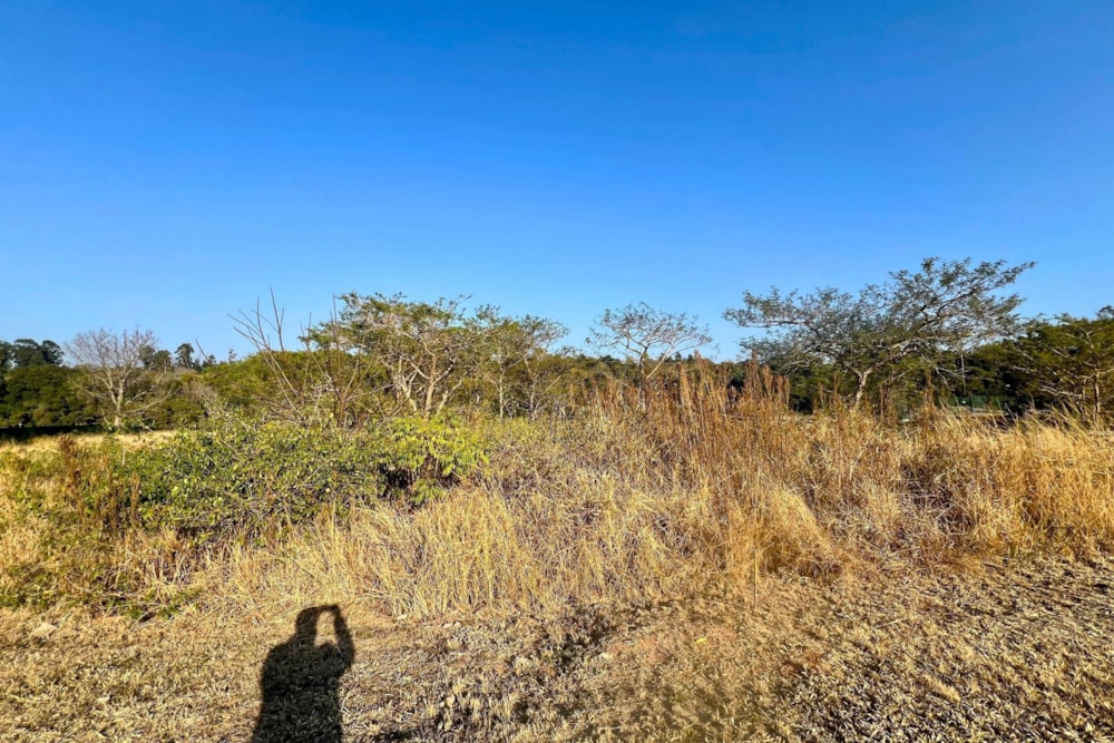 Residential vacant land for sale in Elawini Lifestyle Estate - 1NS1709968