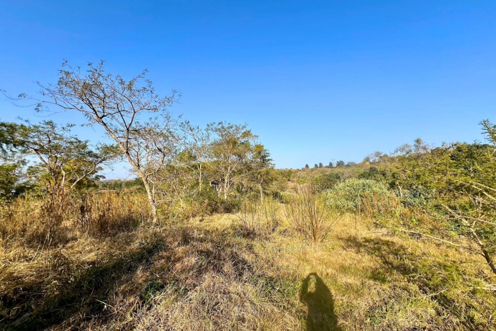 Residential vacant land for sale in Elawini Lifestyle Estate - 1NS1709968