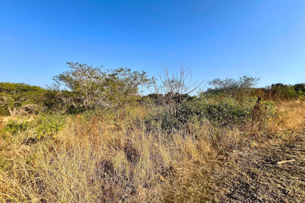 Residential vacant land for sale in Elawini Lifestyle Estate - 1NS1709968