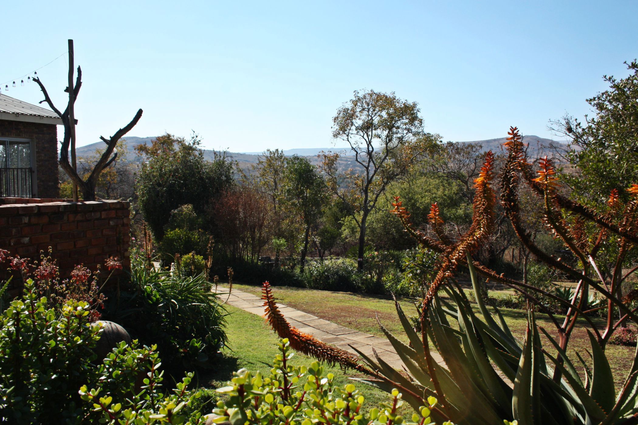 Smallholding for sale in Lydenburg (Mashishing) - 1LY1709977