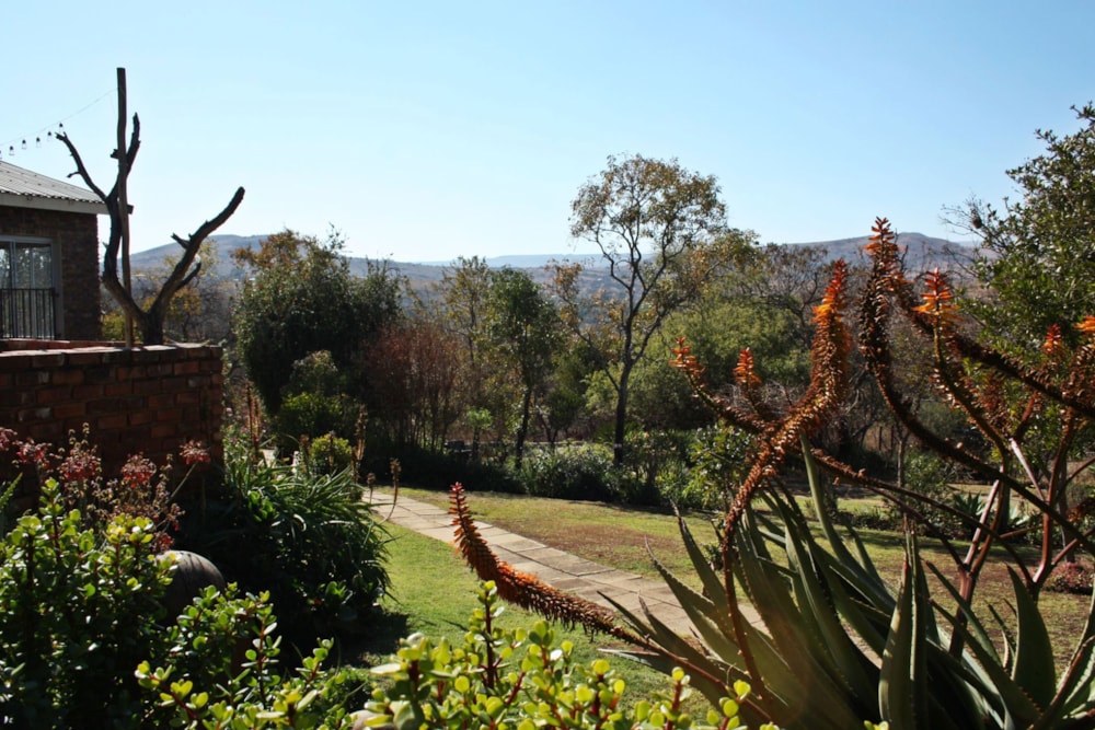 Smallholding for sale in Lydenburg (Mashishing) - 1LY1709977 Smallholding for sale in Lydenburg (Mashishing) - 1LY1709977