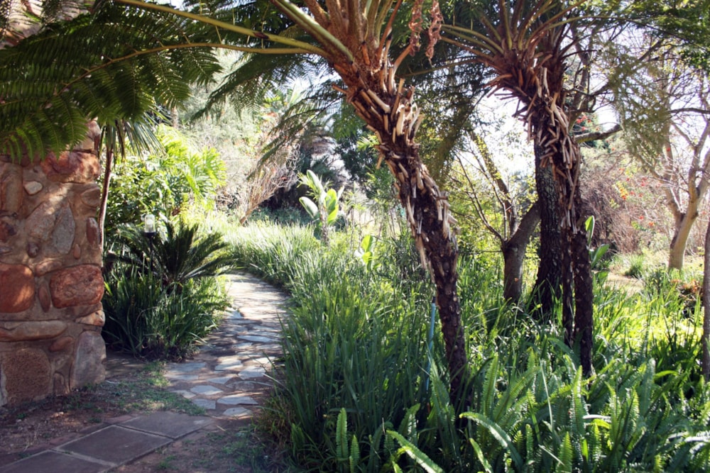 Smallholding for sale in Lydenburg (Mashishing) - 1LY1709977 Smallholding for sale in Lydenburg (Mashishing) - 1LY1709977