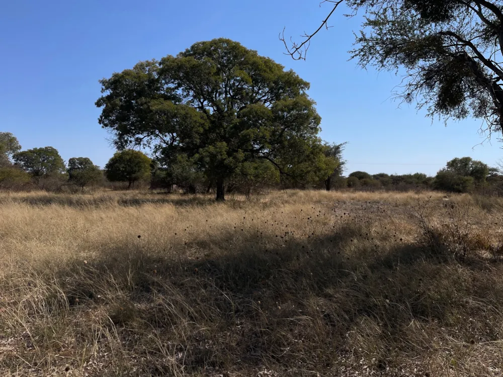 Vacant land for sale in Kgatleng, Botswana - 3BO1709893 Vacant land for sale in Kgatleng, Botswana - 3BO1709893