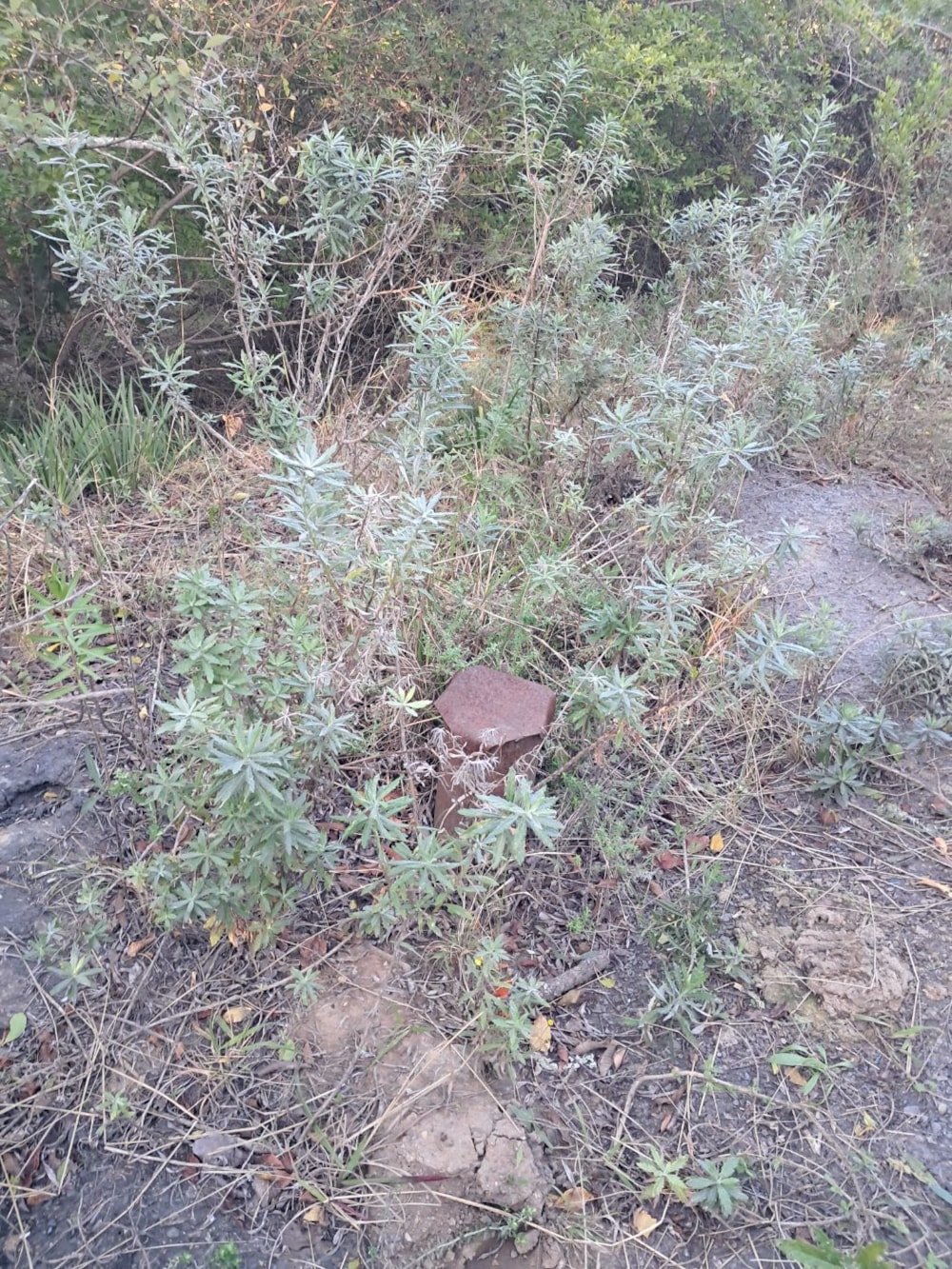 Vacant land for sale in Bathurst - 1PF1710896 Vacant land for sale in Bathurst - 1PF1710896