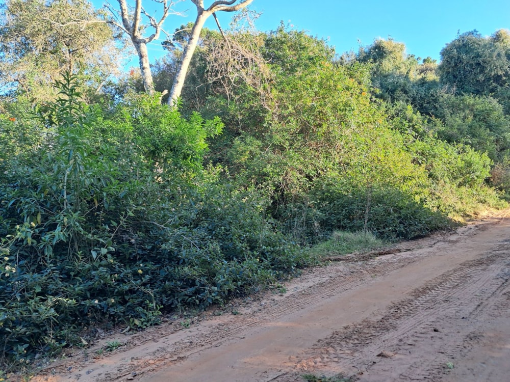 Vacant land for sale in Bathurst - 1PF1710896 Vacant land for sale in Bathurst - 1PF1710896