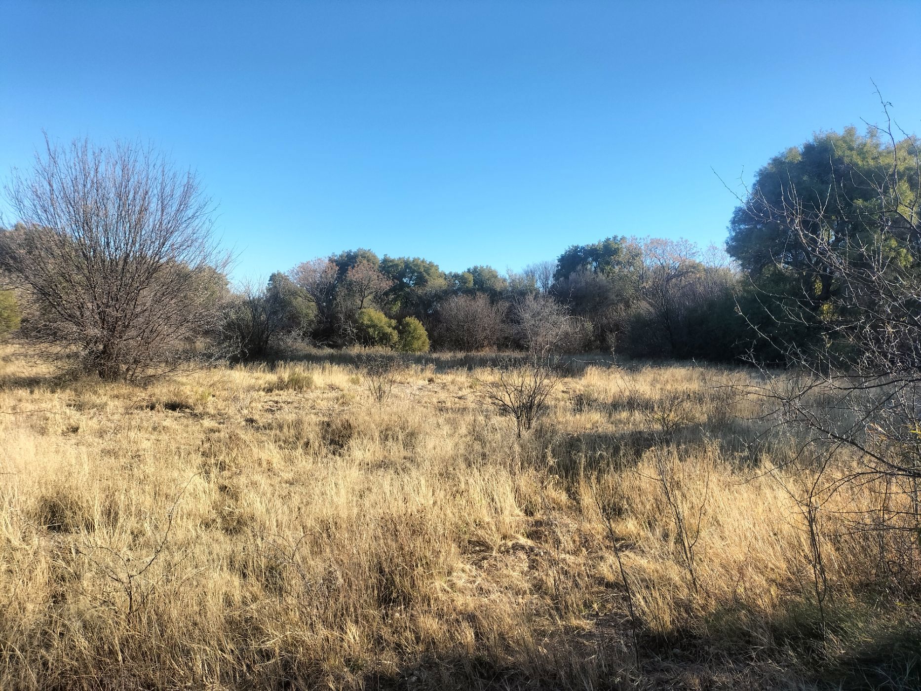 Vacant land for sale in Griekwastad, Northern Cape - 1KJ1711037