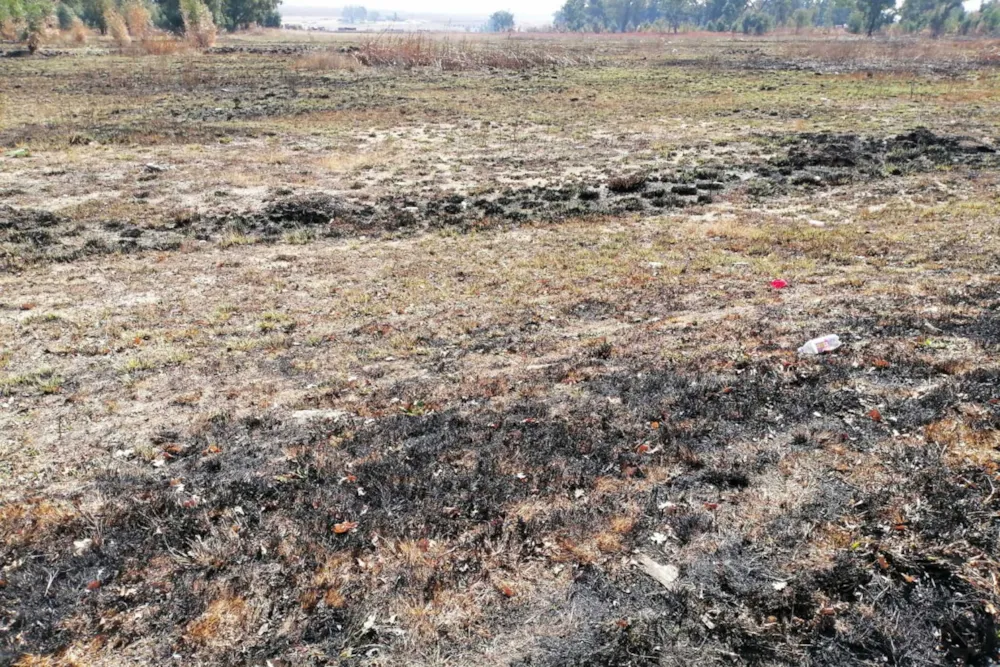 Vacant land for sale in Hendrina - 1MD1710127 Vacant land for sale in Hendrina - 1MD1710127