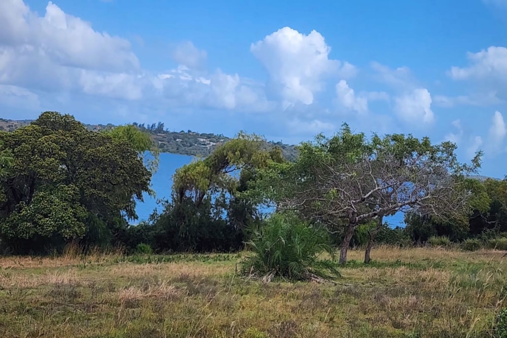 Vacant land for investment in Chidenguele, Gaza, Mozambique - 3MQ1710205