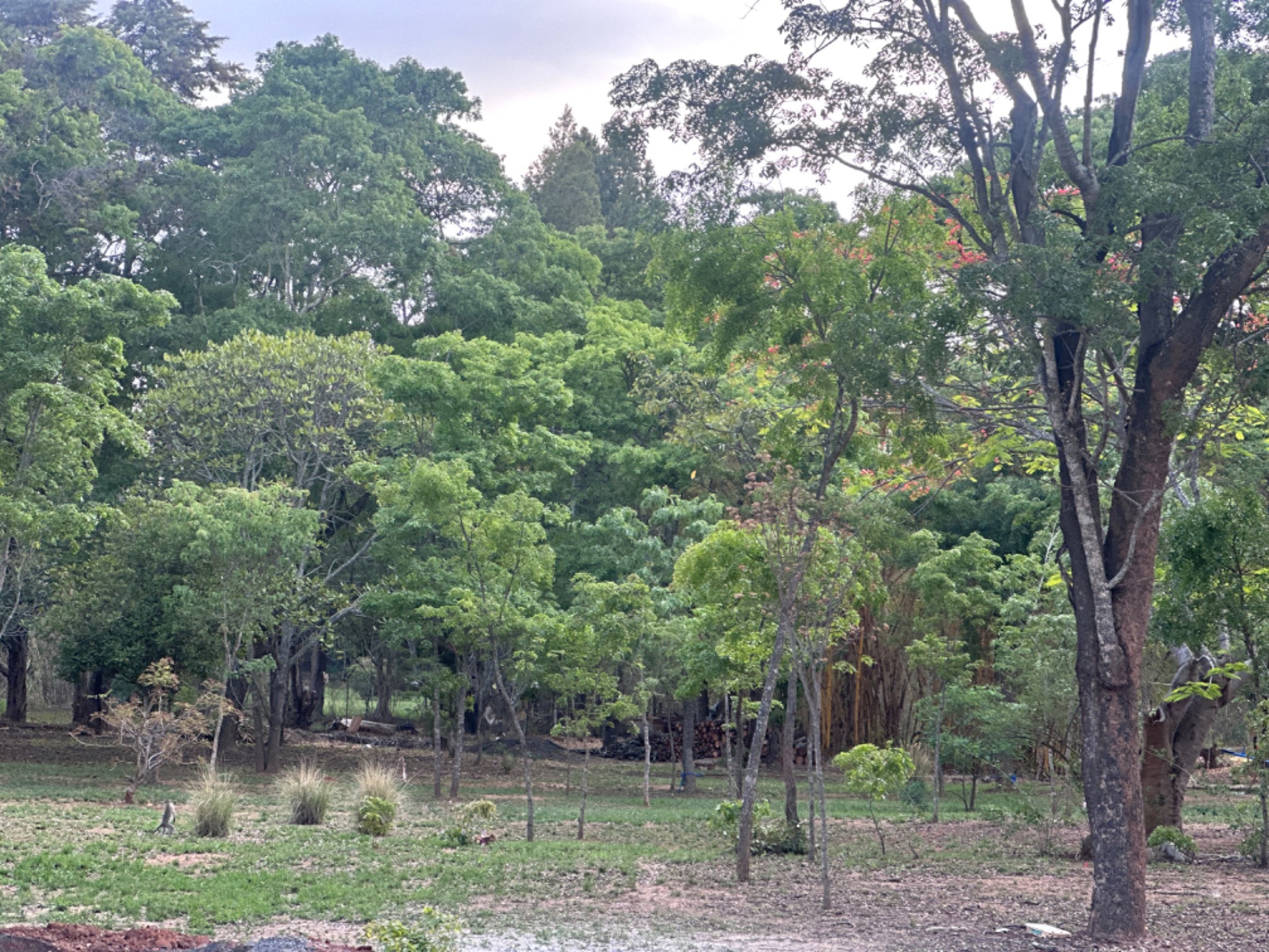 Vacant land sold in Glen Lorne, Zimbabwe - 3ZB1711954