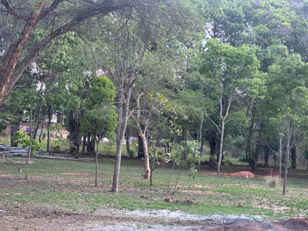 Vacant land sold in Glen Lorne, Zimbabwe - 3ZB1711954