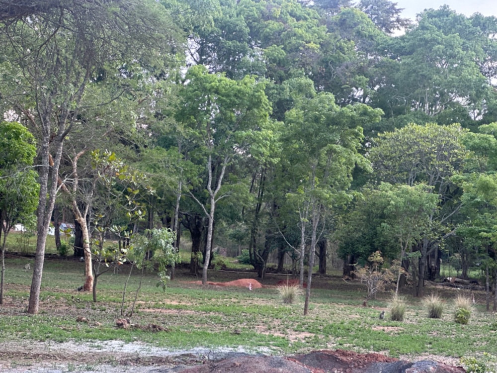 Vacant land sold in Glen Lorne, Zimbabwe - 3ZB1711954