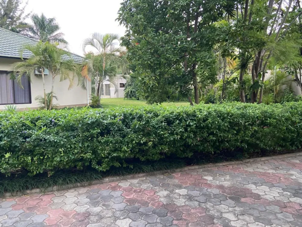 House to rent in Woodlands, Zambia - 3ZA1710221 House to rent in Woodlands, Zambia - 3ZA1710221