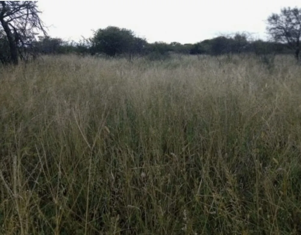 Game farm for sale in Makhado (Louis Trichardt) - 1TA1710252 Game farm for sale in Makhado (Louis Trichardt) - 1TA1710252